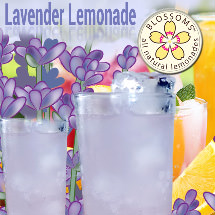 Blossoms lavender lemonade distributor of the best drink mixes for your best clientele. 