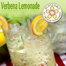  delicious Blossoms verbena lemonade beverage mixes available by wholesale here.